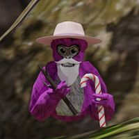 lucidia_gt