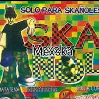puro.mexska