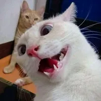 original sound - leiry337