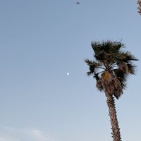 my boy only breaks his favorite toys