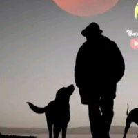 equipe__maluquinho__