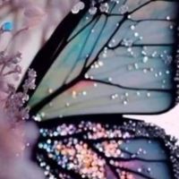 princesalindeza