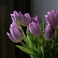 original sound - mi_alma.ua