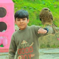 hishaaam29