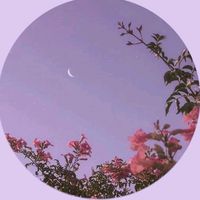 _n.s.r.s_