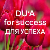 polza_11