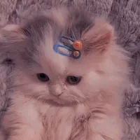 original sound - venussubss