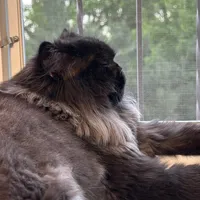 original sound - misha_mishanya6