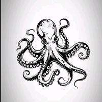 mr.octopus..7