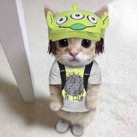woahajdqn