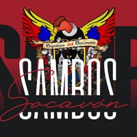 sambosdelsocavonfilialec