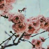 aliciajewelryofficial