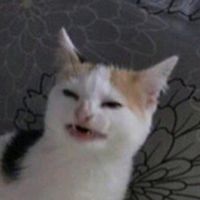 оригинальный звук