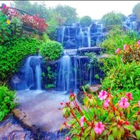 maidy_6781