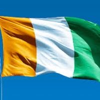 letigre9816762043224