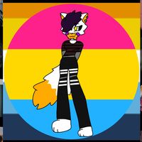 pandee_the_circus_fox