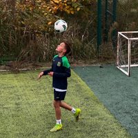 mihajlotonic2014tonke