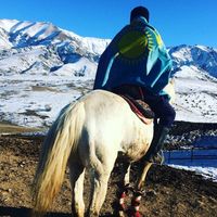 оригинальный звук