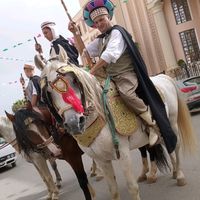 mohamedchoval