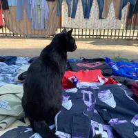 original sound - mrloveeeee4