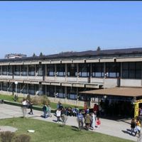 gligor_se_moli