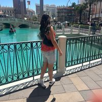 fake_mollie