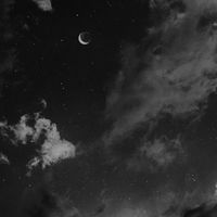musicblogg