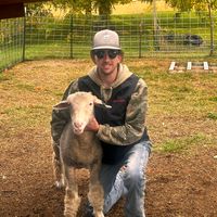 greatest love story lanco