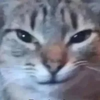 original sound - soyyayafoo