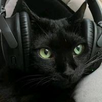 原聲 - music remix