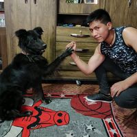 pepe_luchin86