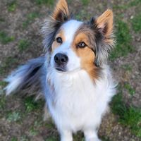 missy_berger_australien