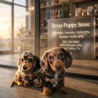 texaspuppystore
