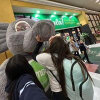 isiteamoolaa