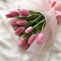 original sound - sondos._.8