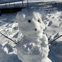 cvntymylittleponyfan