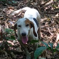 axel.rodrigues52