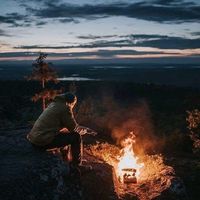 الصوت الأصلي