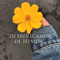 original sound - isabel.123_s