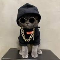 原聲 - 北飄Bunun 《沙鹿》