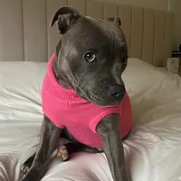 original sound - stellastaffi