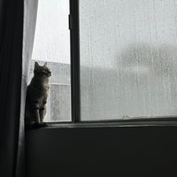 pants.are.for.squarez