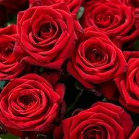 original sound - fleurnana2