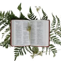 original sound - FAITH-CLINIC