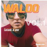 waldo.music