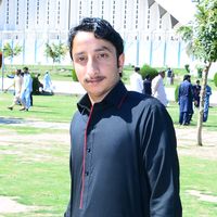 niazahmed3448