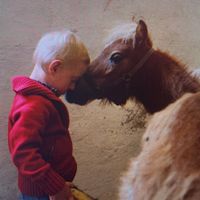 .emmiandhorses