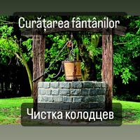 curatim.fintini.moldova