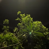 original sound - huellasbiblicas1