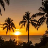 original sound - mlundi.co.ltd